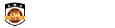casino.vidibond.es